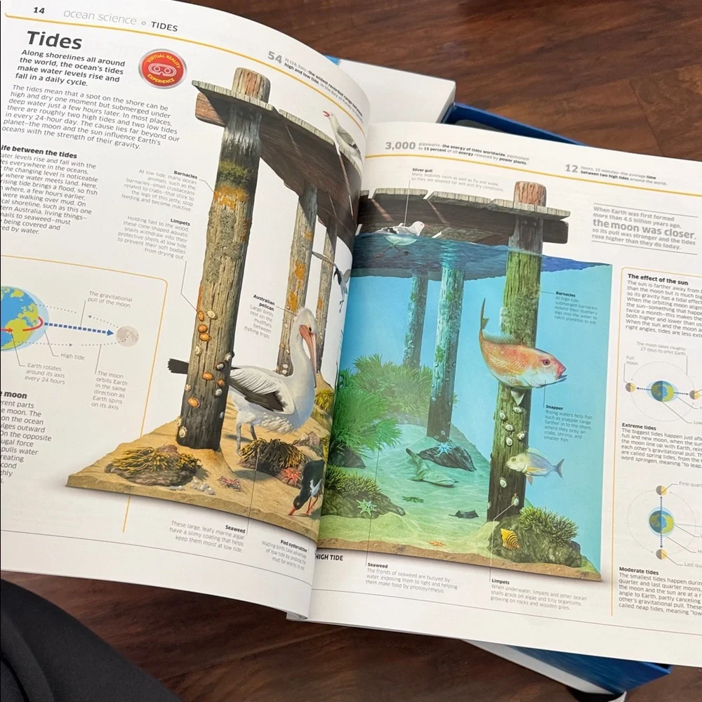 Virtual Reality Oceans! Interactive Book with Red VR Viewer